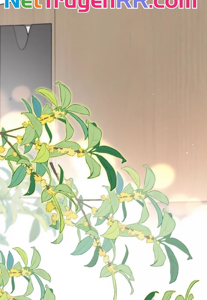 Hôm Nay Bạn Có Giám Phơi Bày Bản Thân Mình Không?! - Chapter 45 - Page 36