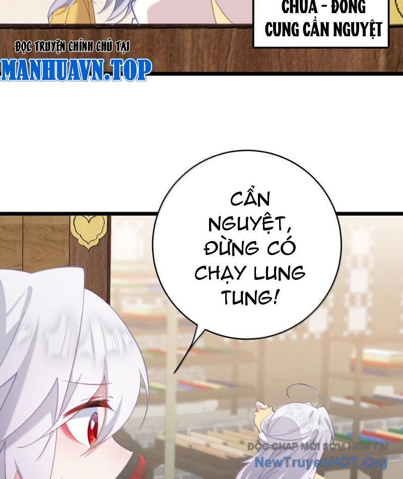 Đập Vỡ Hoàng Đế Nữ Nhi Thân - Chapter 60 - Page 65