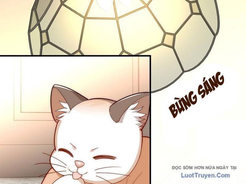 Thế Giới Quỷ Dị? Ta Sớm Đã Thông Quan - Chapter 19 - Page 24