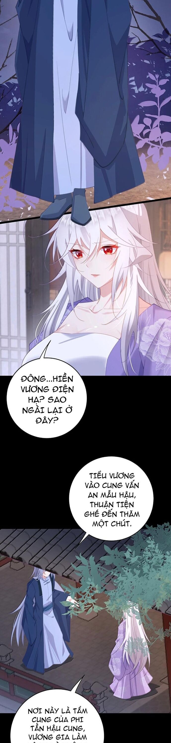 Phơi Bày Thân Phận Nữ Của Hoàng Đế - Chapter 48 - Page 11