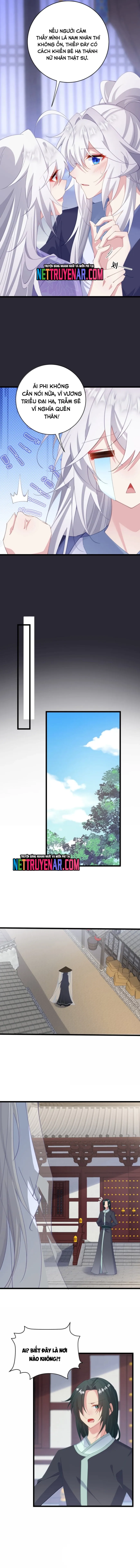 Phơi Bày Thân Phận Nữ Của Hoàng Đế - Chapter 54 - Page 3