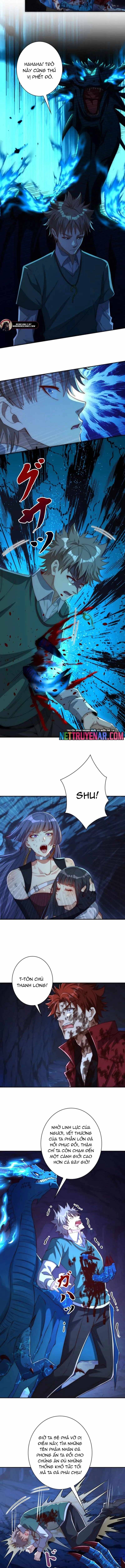 Trùng Sinh: Tôi Đứng Top Nhờ Hệ Thống Gian Lận - Chapter 44 - Page 5