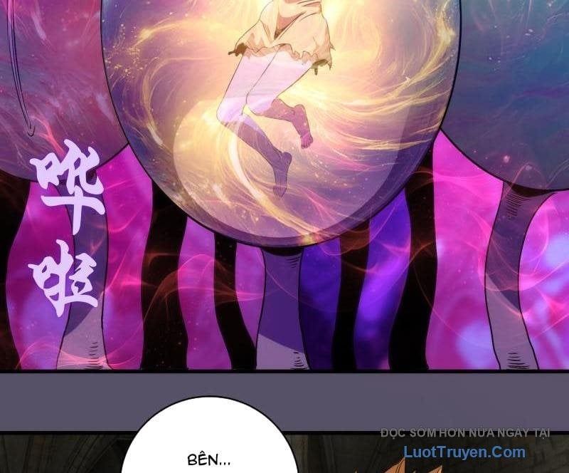 Cao Đẳng Linh Hồn Chapter 351 - Trang 13