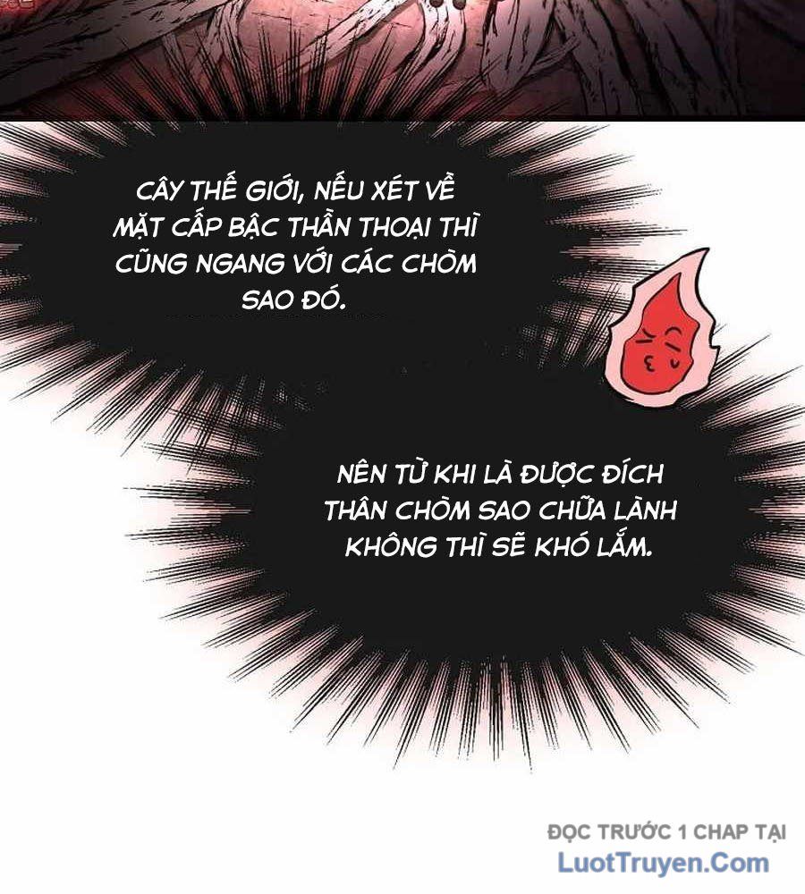 Thần Khí Huyền Thoại Của Người Chơi Thiên Tài - Chapter 57 - Page 19