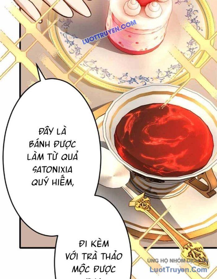 Pháp Sư Hỗ Trợ Bị Trục Xuất Trở Thành Hiền Giả Mạnh Nhất - Chapter 3 - Page 20