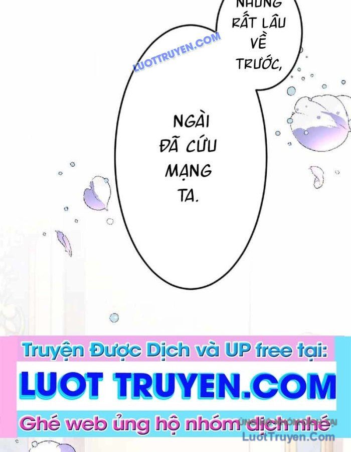 Pháp Sư Hỗ Trợ Bị Trục Xuất Trở Thành Hiền Giả Mạnh Nhất - Chapter 3 - Page 80