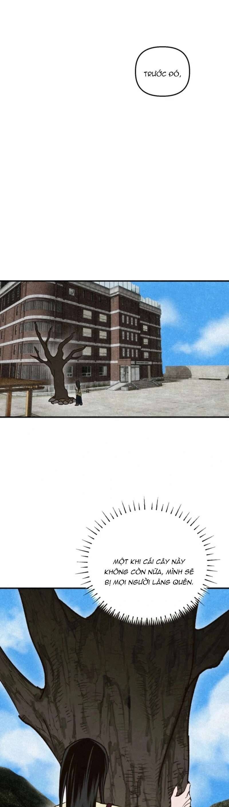 Mùa Hè Bị Nuốt Chửng Bởi Bóng Tối - Chapter 19 - Page 37