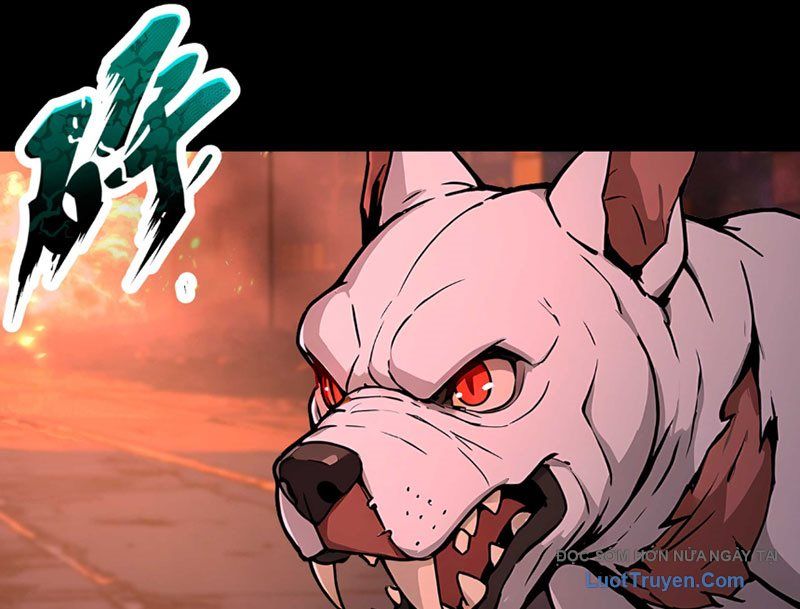 Dị Năng Trùng Sinh Ta Mang Theo Hàng Tỷ Tinh Cầu Vỡ Vụn Lập Thành Bá Nghiệp - Chapter 1 - Page 152