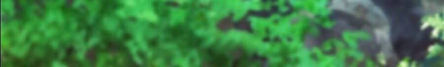 Druid Tại Ga Seoul - Chapter 11 - Page 138