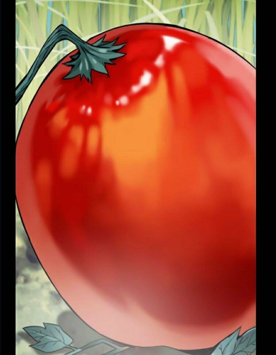 Druid Tại Ga Seoul - Chapter 2 - Page 25