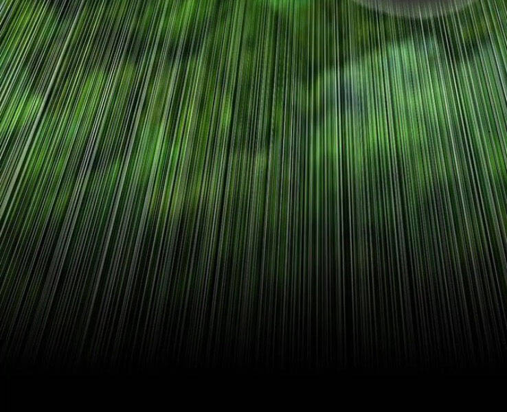 Druid Tại Ga Seoul - Chapter 39 - Page 269