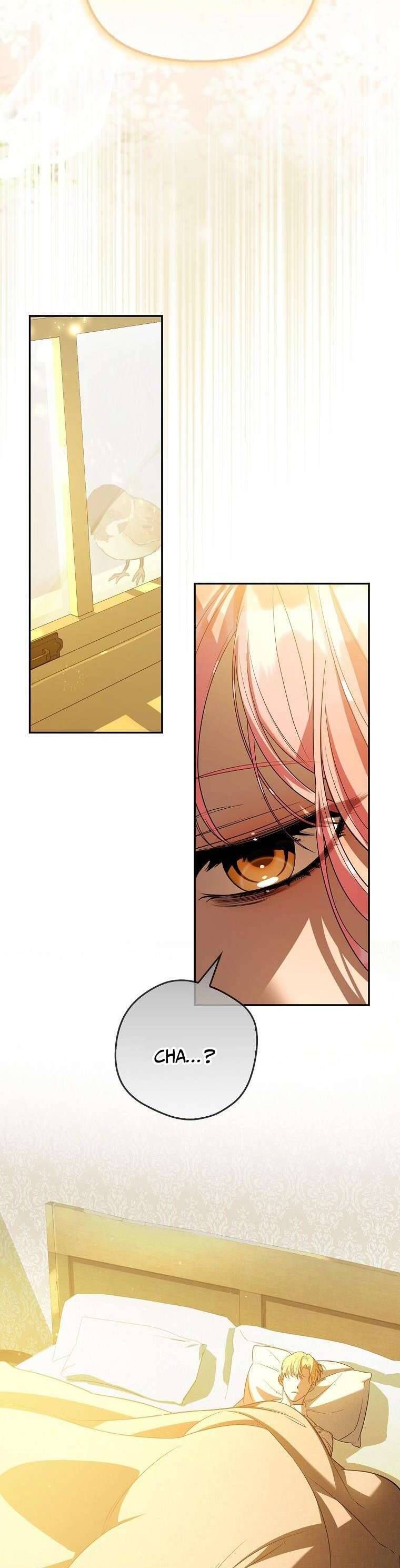 Các Nam Chính Bị Mắc Kẹt Trong Nhà Tôi - Chapter 23 - Page 19