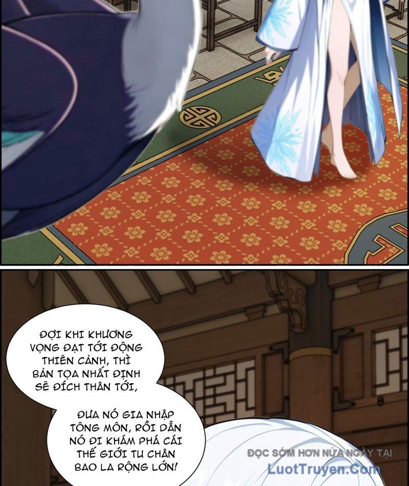 Nghịch Tập Từ Trong Bụng Mẹ: Vừa Sinh Ra Đã Là Vô Địch - Chapter 6 - Page 13