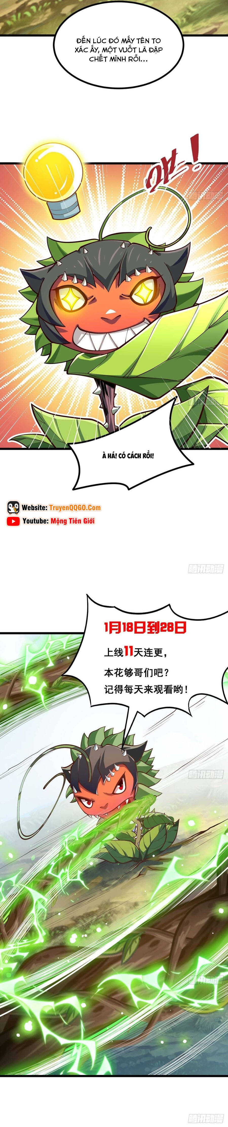 Chuyển Sinh Thành Một Cái Cây Ăn Thịt - Chapter 5 - Page 10