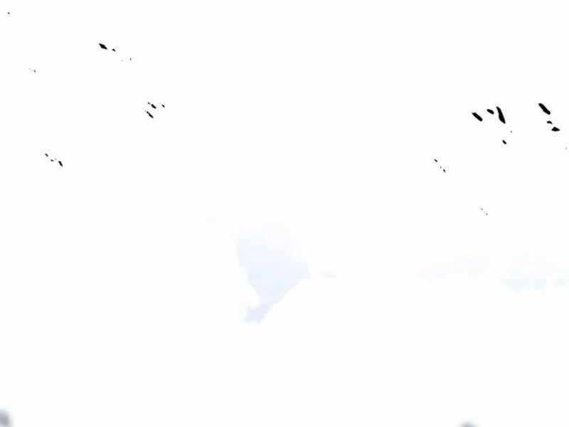 Fate/Extra CCC Fox Tail - Chapter 20.5 - Page 229