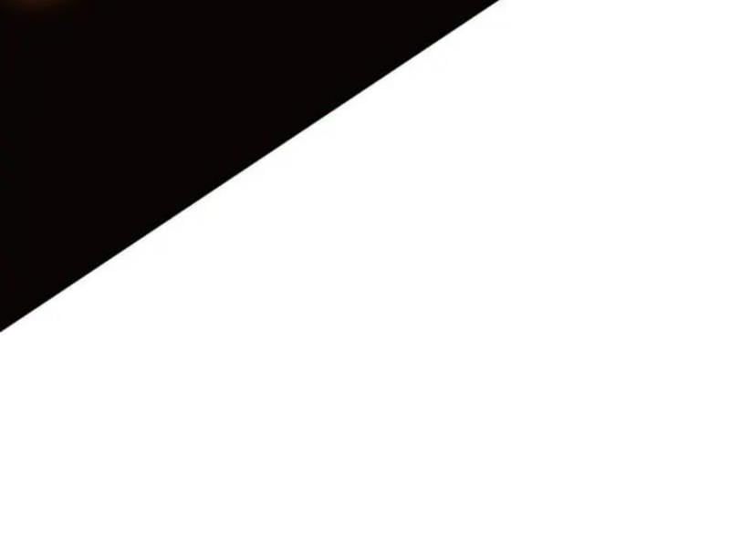 Fate/Extra CCC Fox Tail - Chapter 29.5 - Page 263