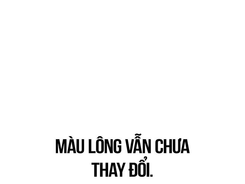 Fate/Extra CCC Fox Tail - Chapter 29.5 - Page 32