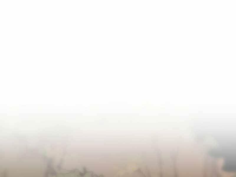 Fate/Extra CCC Fox Tail - Chapter 32.5 - Page 185