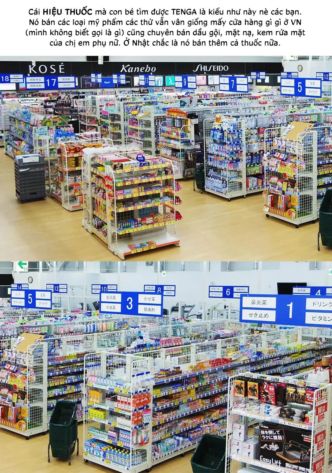 Những Cuộc Gặp Gỡ Kỳ Lạ Sau Giờ Học Của Hanazono Và Kazoe - Chapter 26 - Page 19