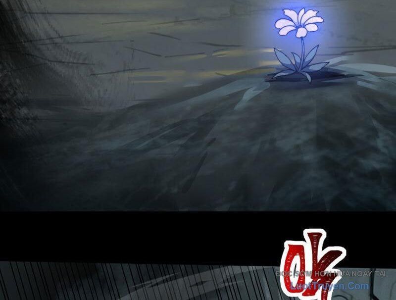 Sau Khi Chia Tay Hoa Khôi, Võ Đạo Của Ta Thẳng Tới Cấp Thần - Chapter 26 - Page 24