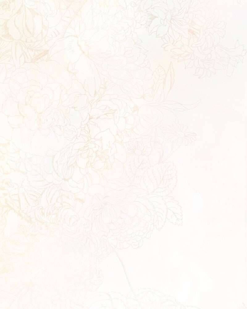 Hầu Nữ Bí Mật Của Bá Tước - Chapter 1 - Page 164