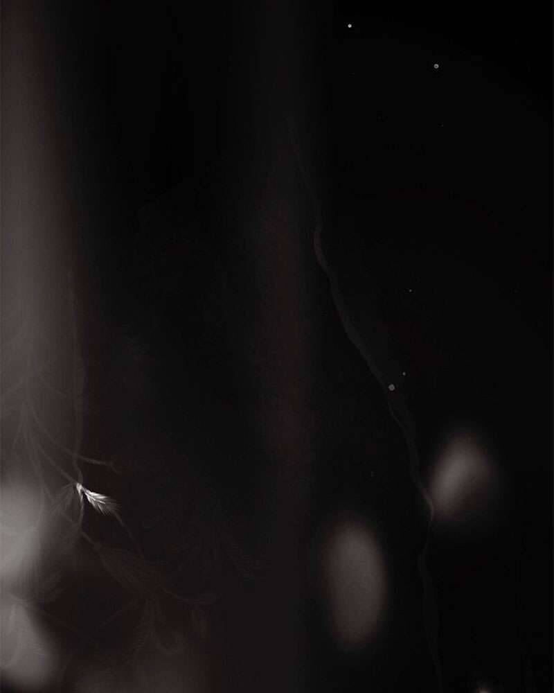 Hầu Nữ Bí Mật Của Bá Tước - Chapter 1 - Page 180