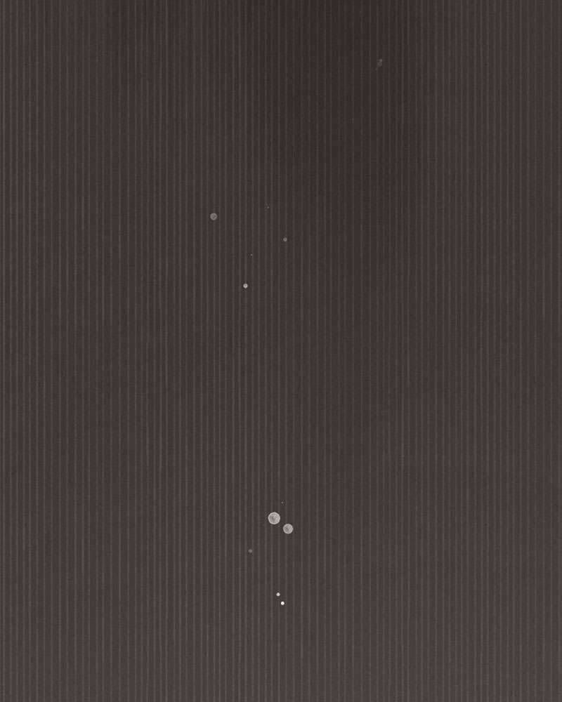 Hầu Nữ Bí Mật Của Bá Tước - Chapter 1 - Page 59