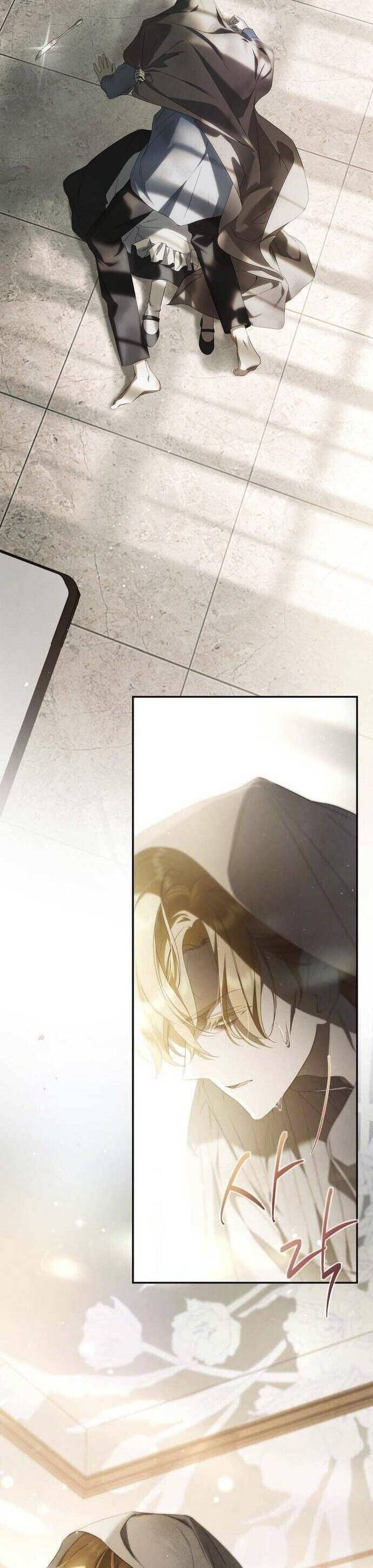 Hầu Nữ Bí Mật Của Bá Tước - Chapter 2 - Page 14