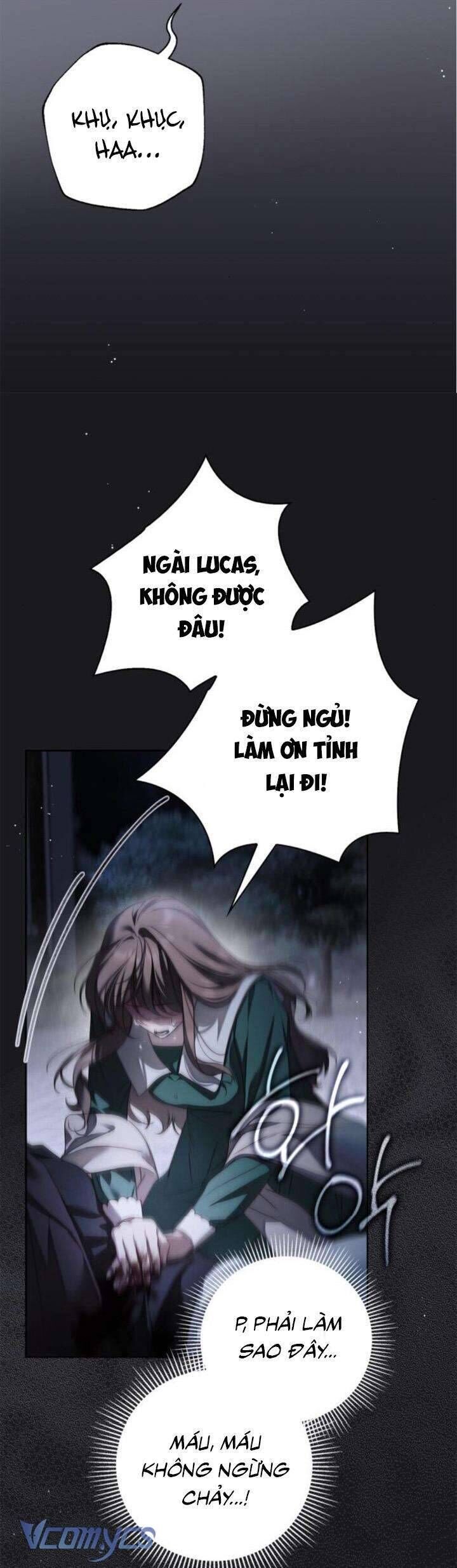 Hầu Nữ Bí Mật Của Bá Tước - Chapter 41 - Page 29