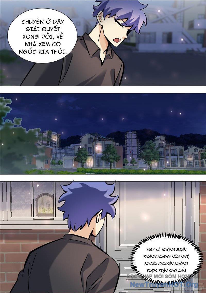 Trọng Sinh Thành Chó Của Nữ Thần - Chapter 393 - Page 6