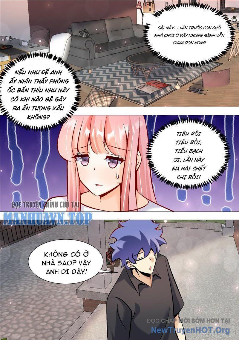 Trọng Sinh Thành Chó Của Nữ Thần - Chapter 393 - Page 8