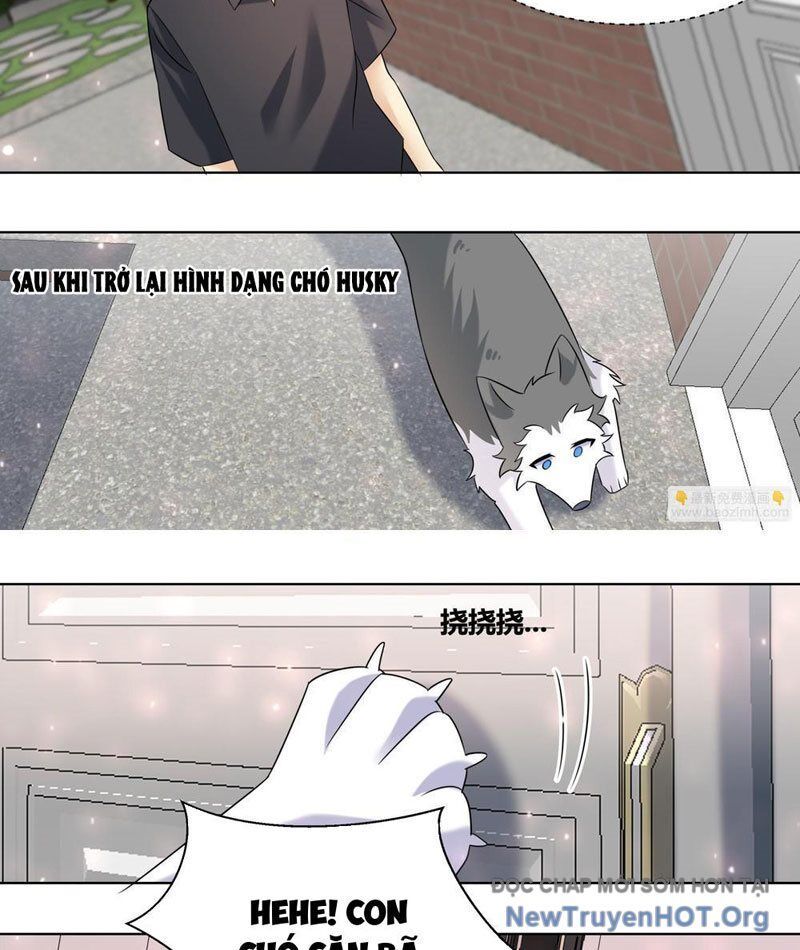 Trọng Sinh Thành Chó Của Nữ Thần - Chapter 399 - Page 10