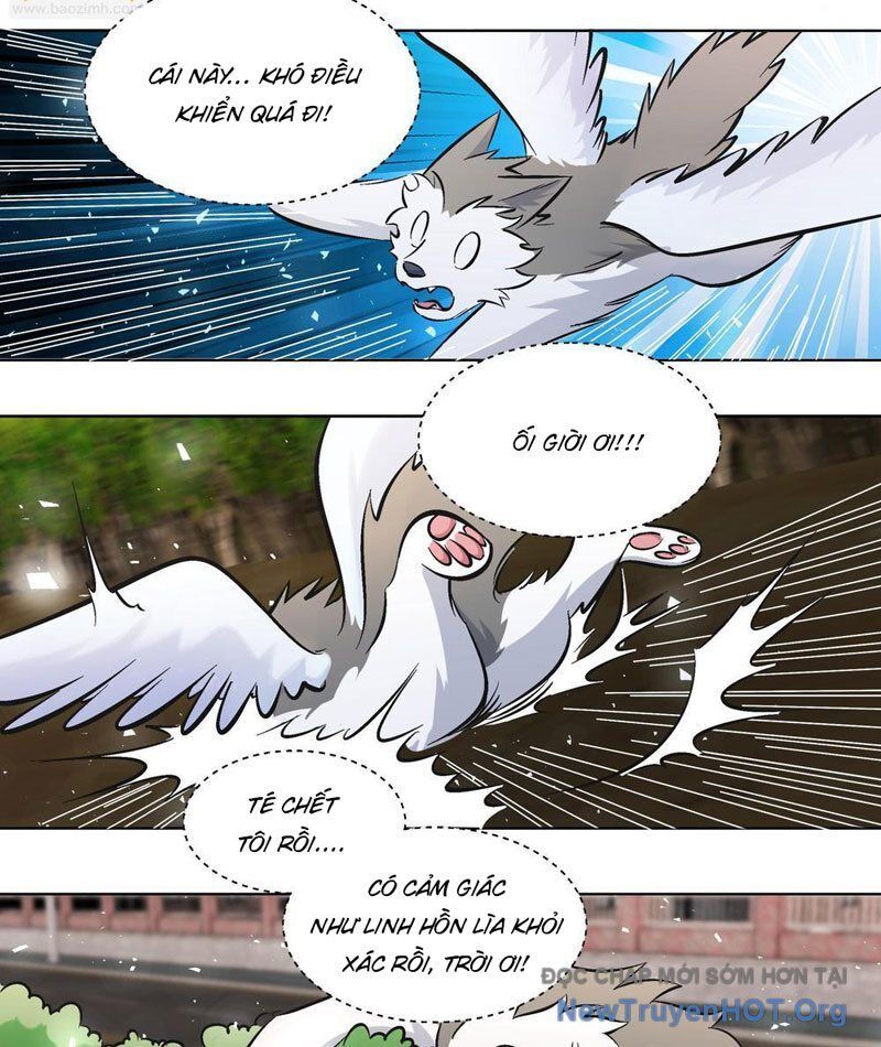 Trọng Sinh Thành Chó Của Nữ Thần - Chapter 400 - Page 7