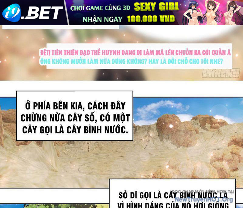 Trọng Sinh Thành Chó Của Nữ Thần - Chapter 405 - Page 12