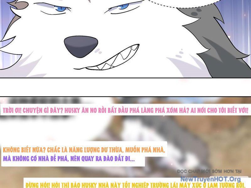 Trọng Sinh Thành Chó Của Nữ Thần - Chapter 411 - Page 17