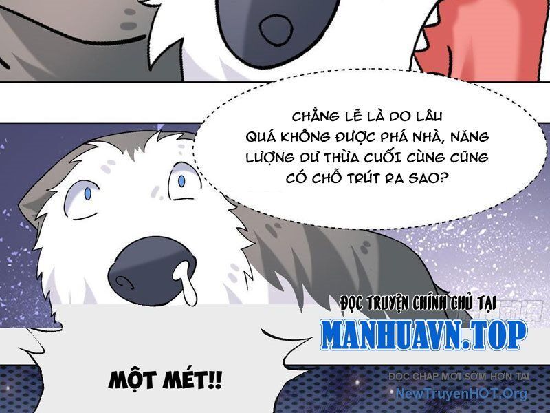 Trọng Sinh Thành Chó Của Nữ Thần - Chapter 411 - Page 21