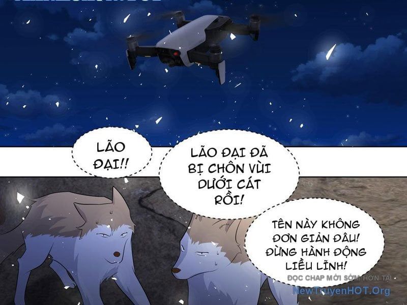Trọng Sinh Thành Chó Của Nữ Thần - Chapter 414 - Page 16
