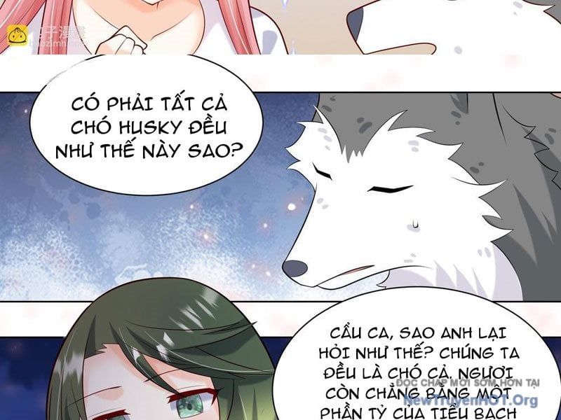 Trọng Sinh Thành Chó Của Nữ Thần - Chapter 415 - Page 17