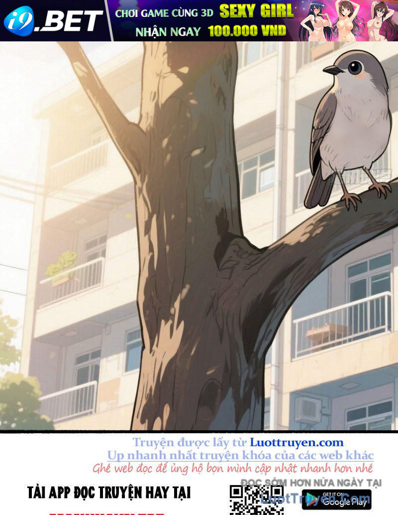 Hệ Thống Hoàn Tiền: Vô Hạn Tự Do Tài Chính - Chapter 10 - Page 13