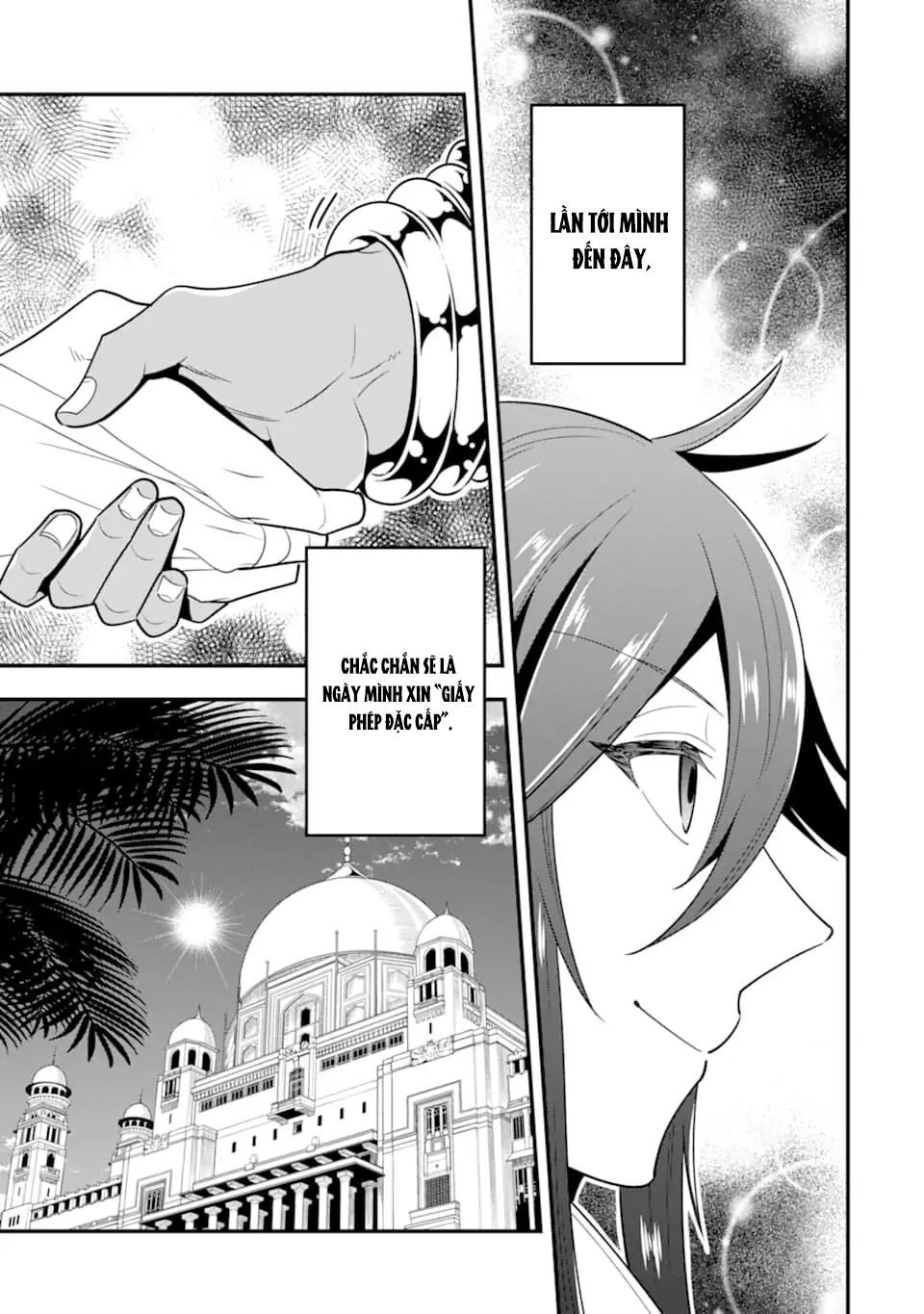 Pháp Sư Mạnh Nhất Dùng Sách Chiến Lược, Tự Mình Tiêu Diệt Ma Vương - Chapter 16 - Page 14