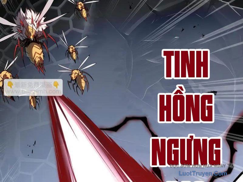 Tai Ách Giáng Lâm: Ta Tiến Hóa Thành Tinh Hồng Đế Vương - Chapter 14 - Page 14