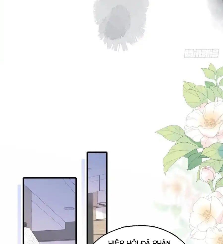 Anh Ấy Chưa Từng Sa Ngã - Chapter 100 - Page 48