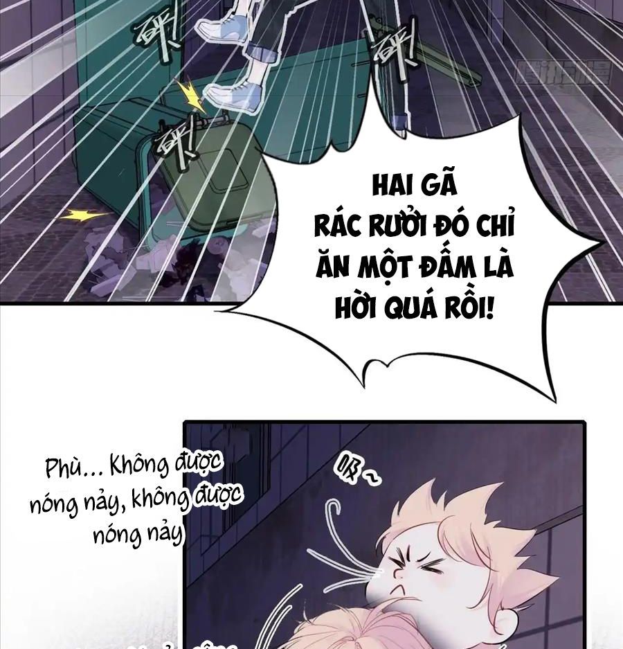 Anh Ấy Chưa Từng Sa Ngã - Chapter 19 - Page 36