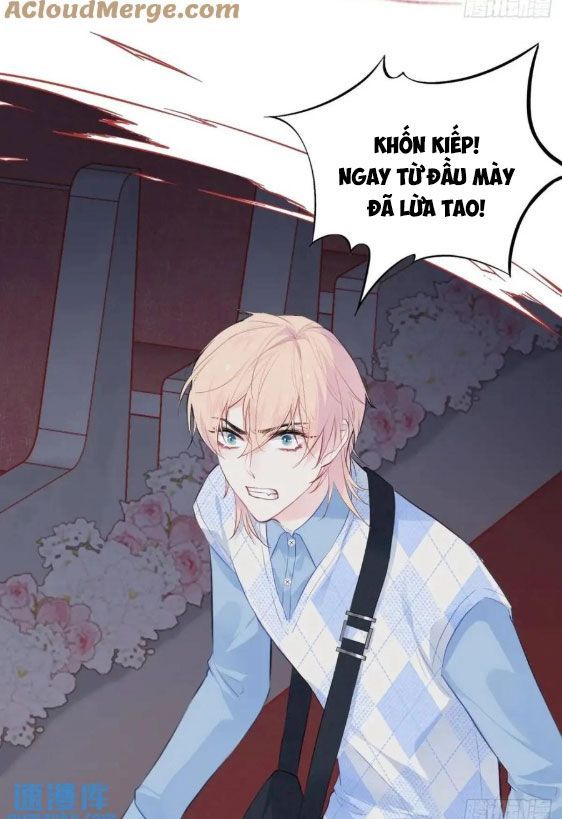 Anh Ấy Chưa Từng Sa Ngã - Chapter 38 - Page 29