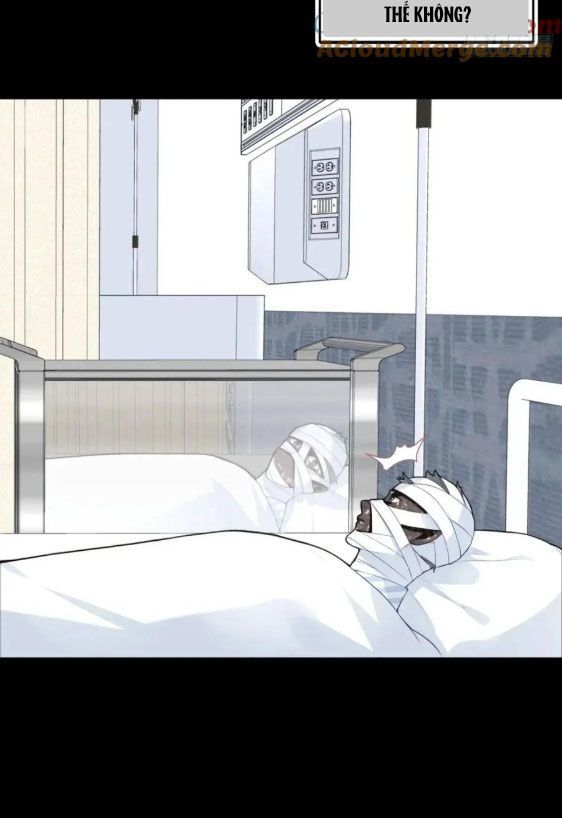 Anh Ấy Chưa Từng Sa Ngã - Chapter 38 - Page 6