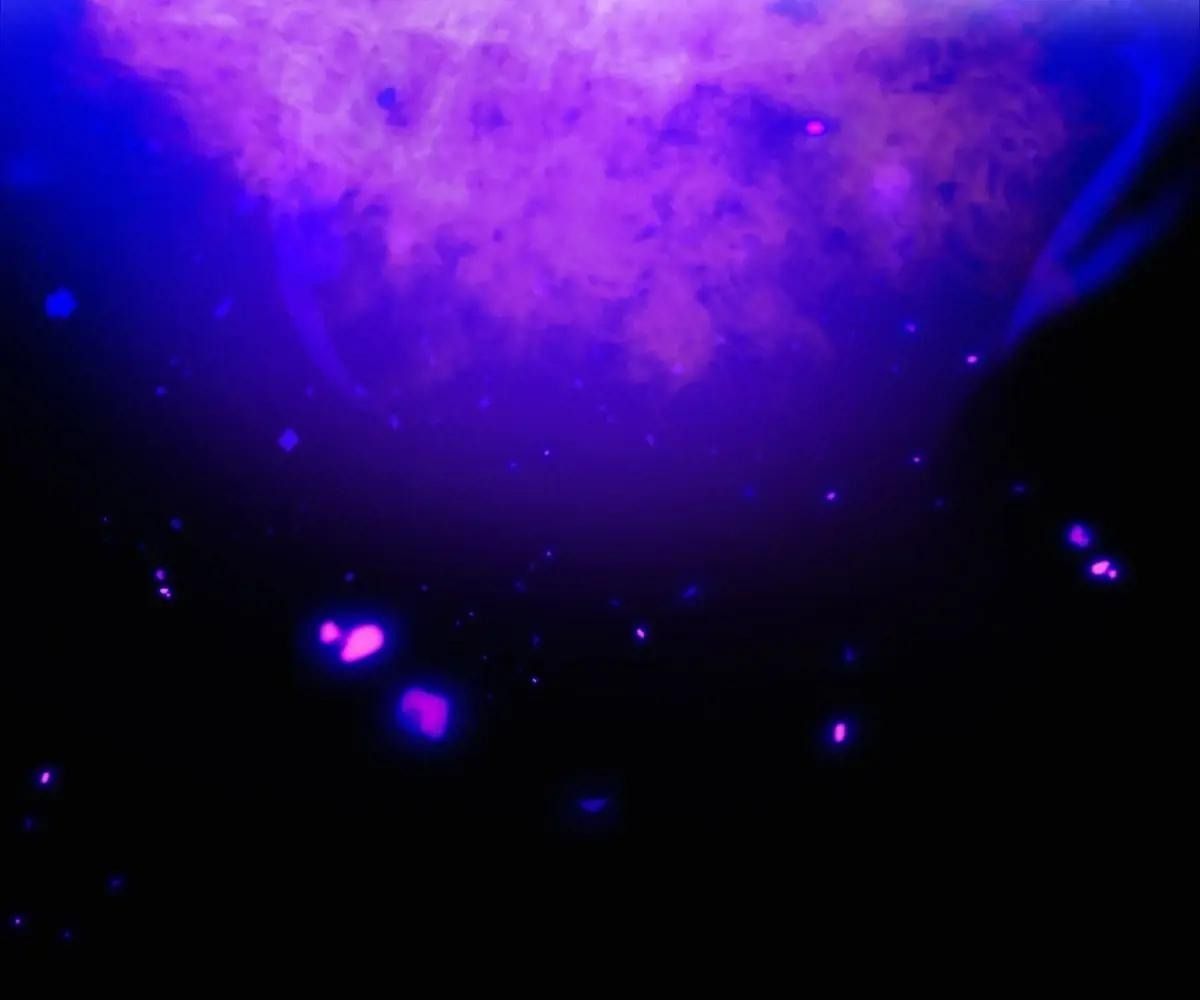 Anh Ấy Chưa Từng Sa Ngã - Chapter 46 - Page 26