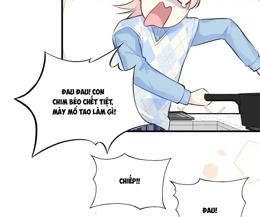 Anh Ấy Chưa Từng Sa Ngã - Chapter 49 - Page 13