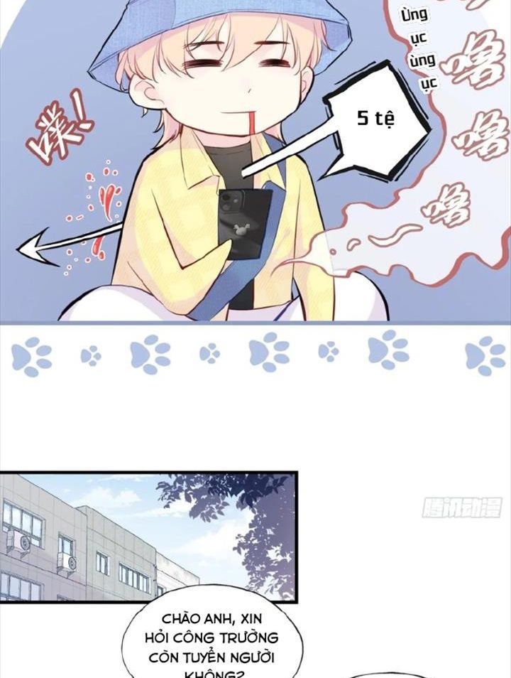 Anh Ấy Chưa Từng Sa Ngã - Chapter 5 - Page 15