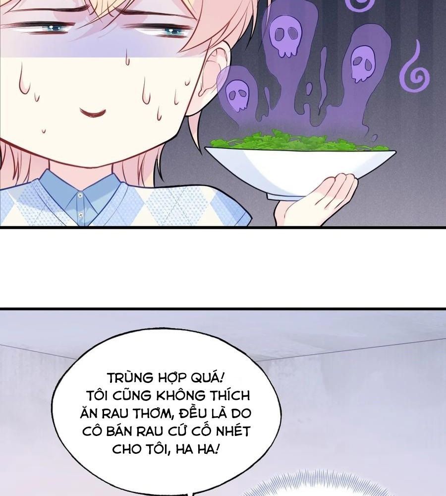 Anh Ấy Chưa Từng Sa Ngã - Chapter 55 - Page 11