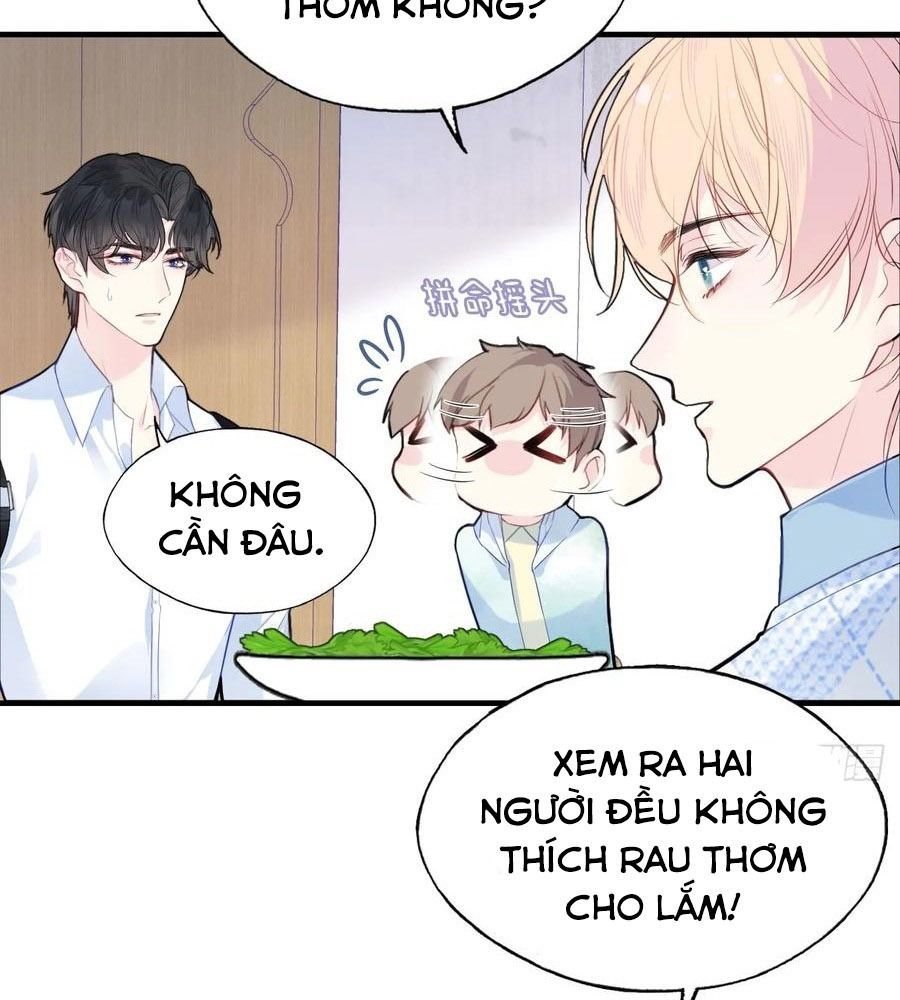 Anh Ấy Chưa Từng Sa Ngã - Chapter 55 - Page 7